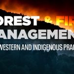 Forest and Fire Management with Western and Indigenous Practice