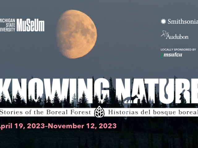 a graphic that says Knowing Nature, Stories of the Boreal Forest.