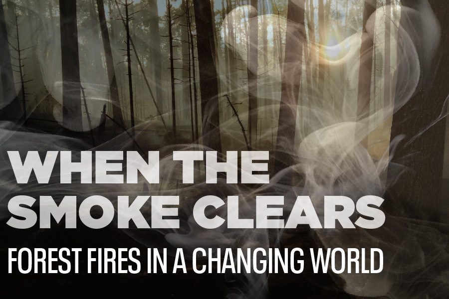 When the Smoke Clears – Forest Fires in a Changing World
