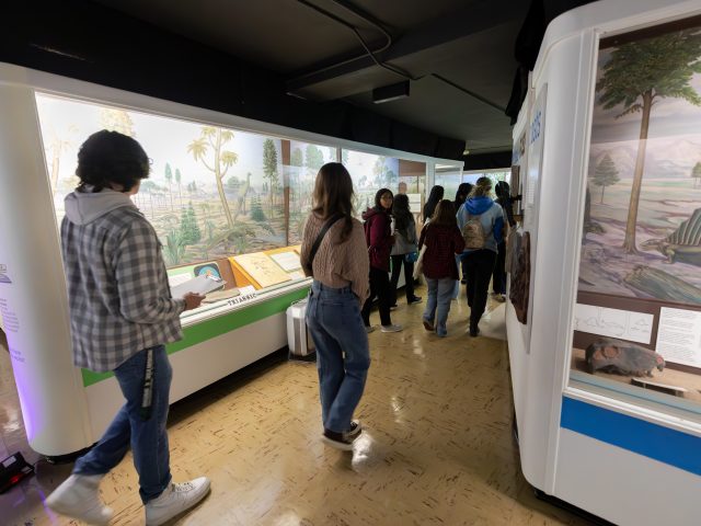 A group of students walks through the hallway in the Hall of Evolution