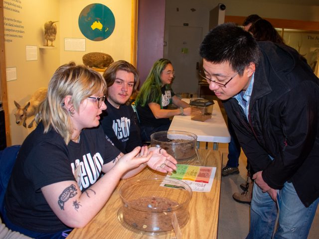 College students showing bugs to a museum visitor