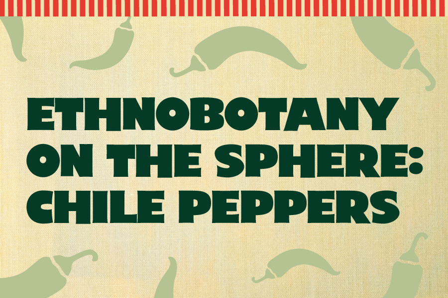 Ethnobotany On the Sphere: Chile Peppers