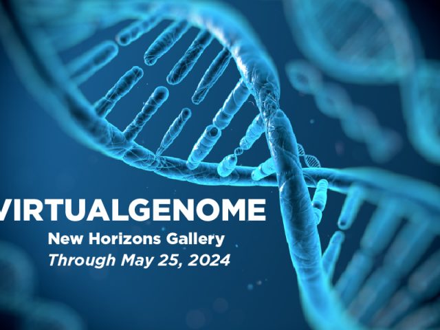 A close-up illustration of a blue DNA helix with white text that reads "VirtualGenome at the New Horizons Gallery through May 25, 2024