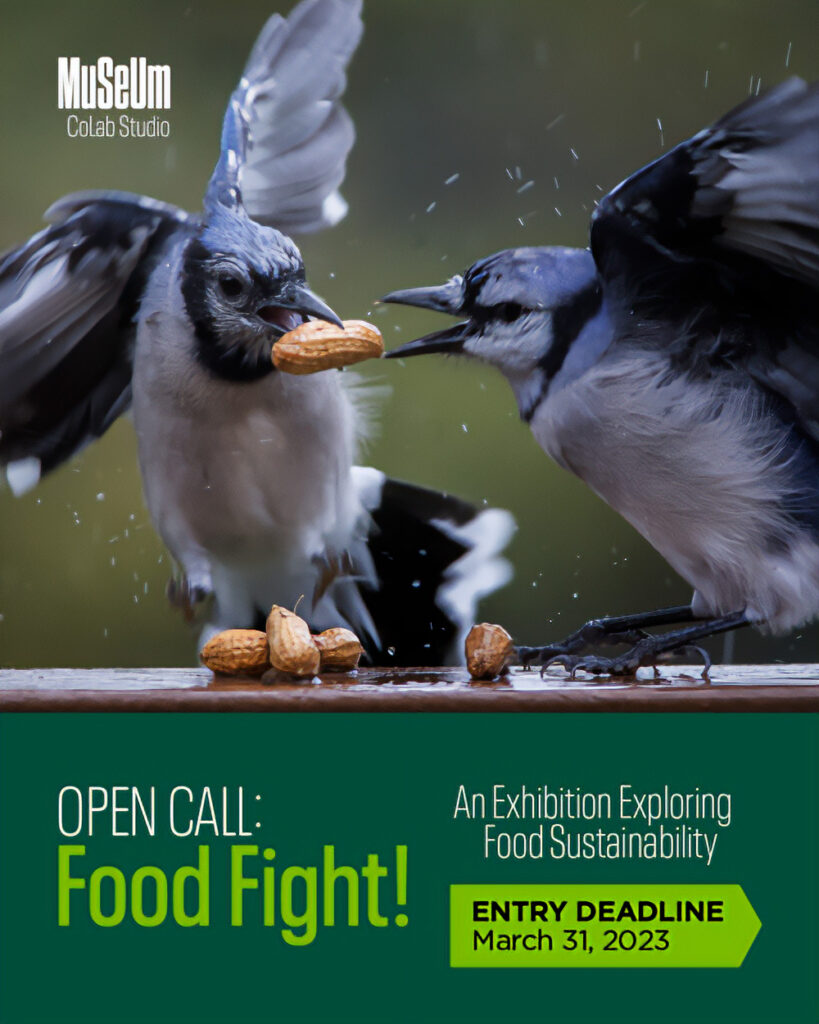 a photo of two birds fighting over a peanut. Text below it says Open Call: Food Fight! An exhibition exploring food sustainability. Entry deadline March 31, 2023.