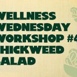 Wellness Wednesday Workshop #4: Chickweed Salad