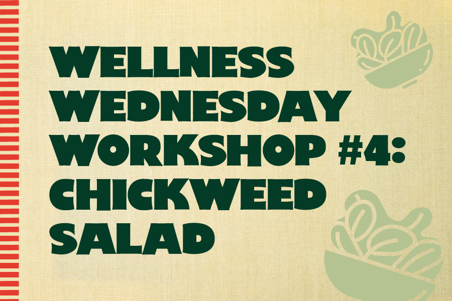 Wellness Wednesday Workshop #4: Chickweed Salad