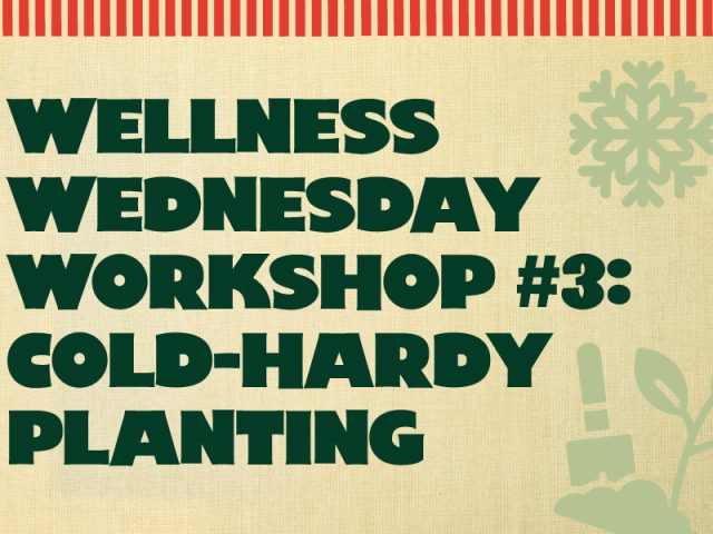 light brown graphic with light green plants and snowflakes with text that reads, "Wellness Wednesday Workshop #3: Cold-Hardy Planting"