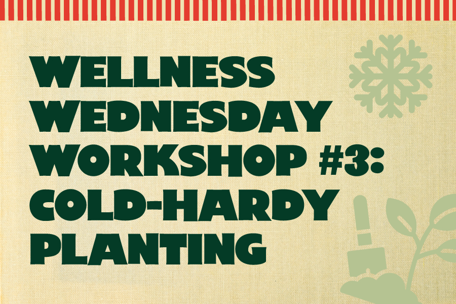Wellness Wednesday Workshop #3: Cold-Hardy Planting
