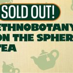 Ethnobotany On the Sphere: Tea (SOLD OUT)
