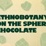 Ethnobotany On the Sphere: Chocolate (SOLD OUT)