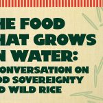 The Food That Grows on Water: A Conversation on Food Sovereignty and Wild Rice