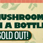 Mushrooms in a Bottle (SOLD OUT)