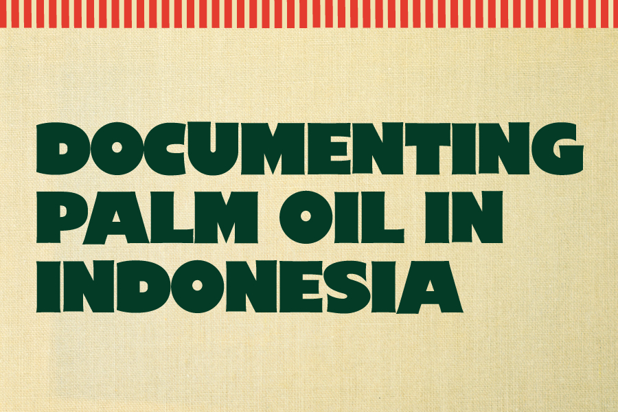 Documenting Palm Oil in Indonesia