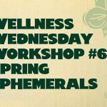 Wellness Wednesday Workshop #6: Spring Ephemerals