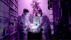 A film still of two men wearing masks working in lab environment with plants. The image has an overall purplish hue.