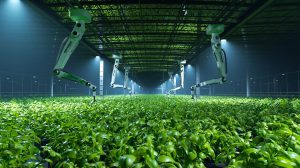 A film still of robotic arms tending to a crop of green leafy plants.