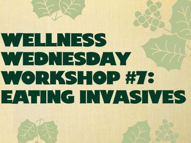 A tan burlap-textured background with a red ticked border on the right. Bold green text reads "Wellness Wednesday Workshop #7: Eating Invasives" while semi-opaque graphics of berries and leaves scattered in the background.