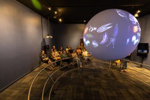 A group of people seat in the Science on a Sphere Gallery looking at a 6' globe with a projection of sea creatures on it.