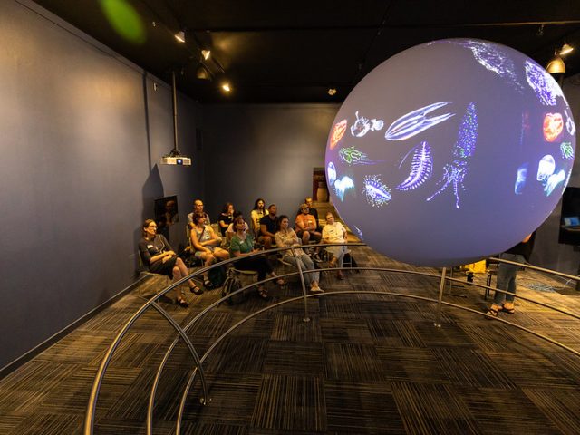 A group of people seat in the Science on a Sphere Gallery looking at a 6' globe with a projection of sea creatures on it.