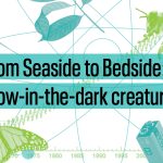 From Seaside to Bedside