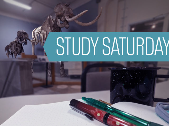 A view of the second-floor landing at the MSU Museum, closeup of a notebook, green and red pen, and black mug sitting on a table across from an empty chair. In the background, two elephant skeletons can be seen while white text on a blue arrow reads "Study Saturday"