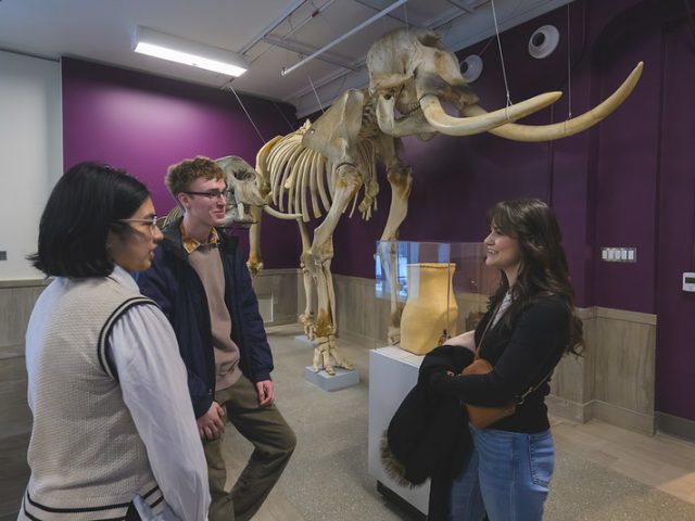 Three young adults stand and talk in a museum gallery beside a large mounted elephant skeleton with long curved tusks; a display case sits nearby against purple walls.