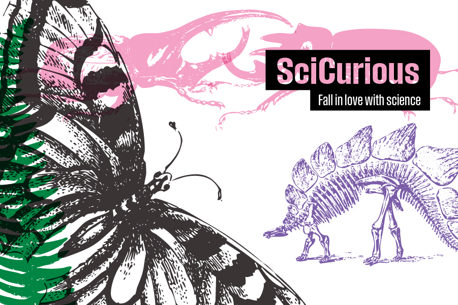 SciCurious