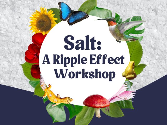 Promotional graphic for “Salt: A Ripple Effect Workshop,” featuring a circular white center with the title text, surrounded by colorful nature elements including a sunflower, red flowers, green leaves, a blue butterfly, a hummingbird, a frog, a spotted gecko, a red mushroom, and a pink-winged insect, set against a textured salt-like background.