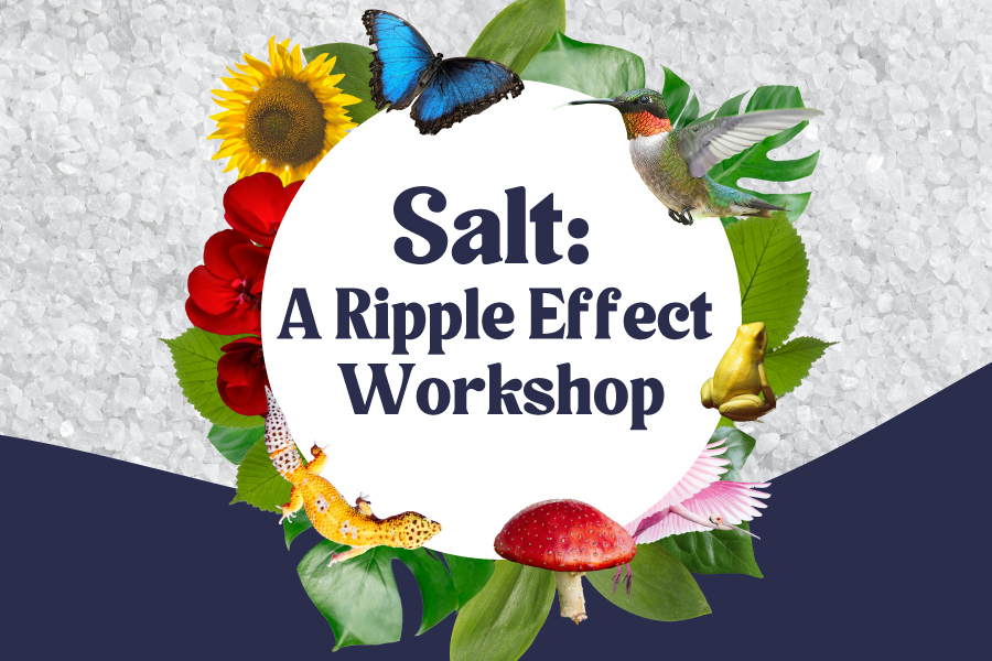 Salt: A Ripple Effect