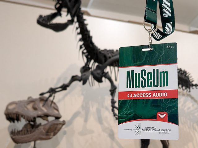 A museum access badge labeled “MuSeum – Access Audio” hangs in the foreground, with a blurred dinosaur skeleton exhibit and skull visible in the background.